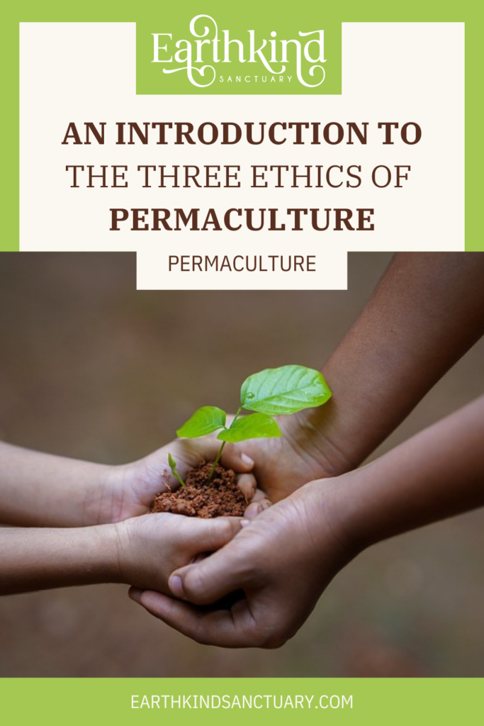 what is permaculture